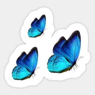 Butterfly Sticker